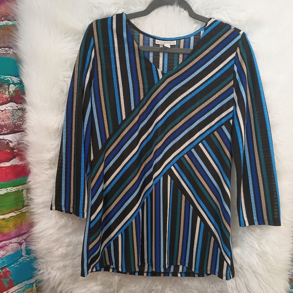 Dana Buchman Blue Green Black White and Tan Striped Long Sleeve V Neck Top L - Picture 2 of 8